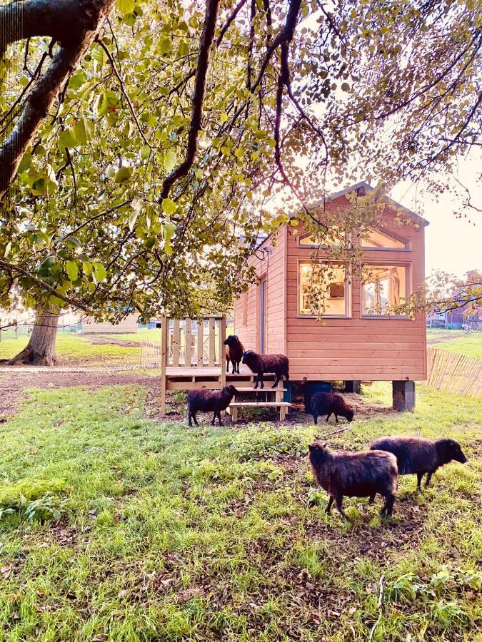 Jolie Tiny House Sous Les Grands Arbres Villa Шоле Екстериор снимка