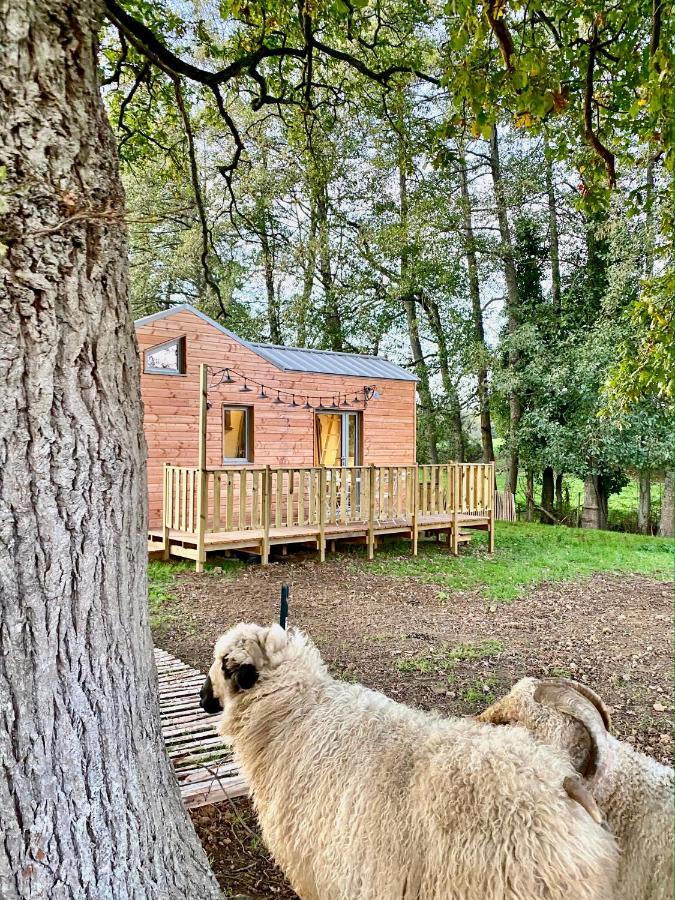 Jolie Tiny House Sous Les Grands Arbres Villa Шоле Екстериор снимка