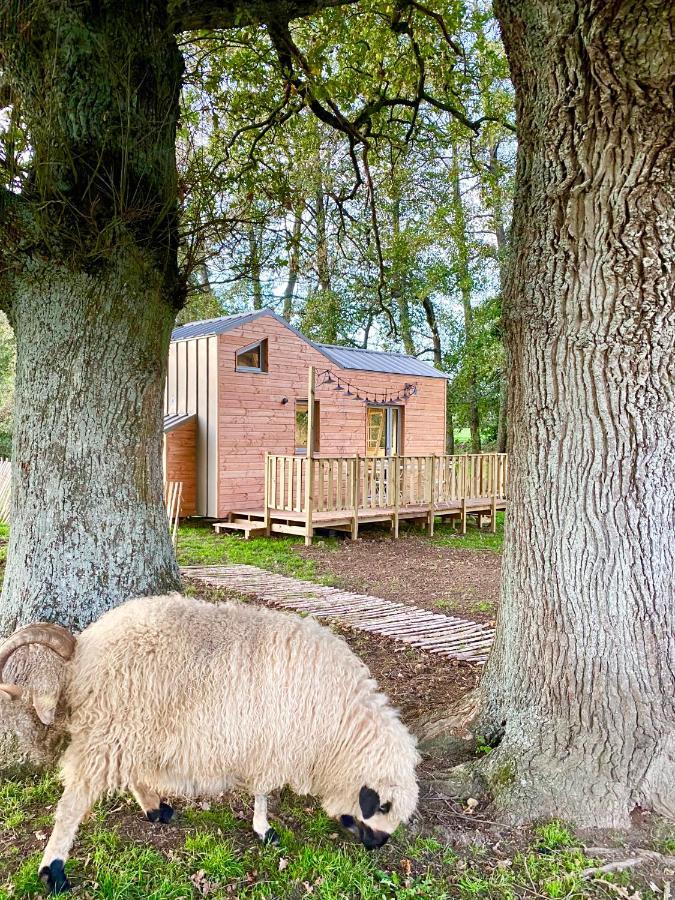 Jolie Tiny House Sous Les Grands Arbres Villa Шоле Екстериор снимка