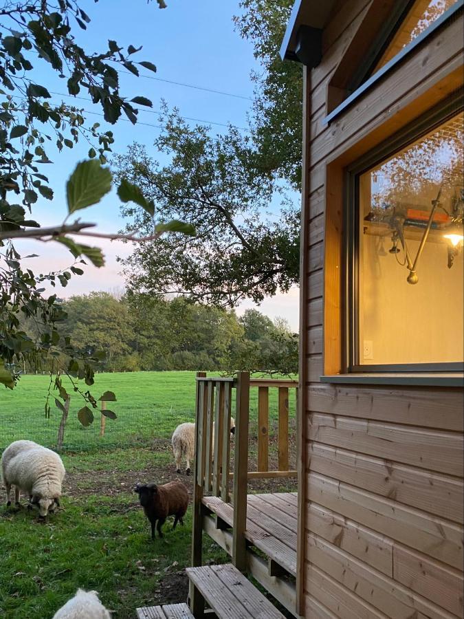 Jolie Tiny House Sous Les Grands Arbres Villa Шоле Екстериор снимка